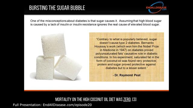 Sugar Does NOT Cause Diabetes - PUFA Does смотреть онлайн