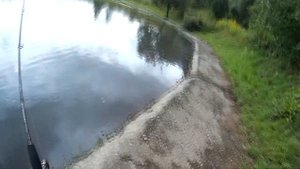Ловля щуки на спиннинг в Подмосковье. Воблер Cablista.