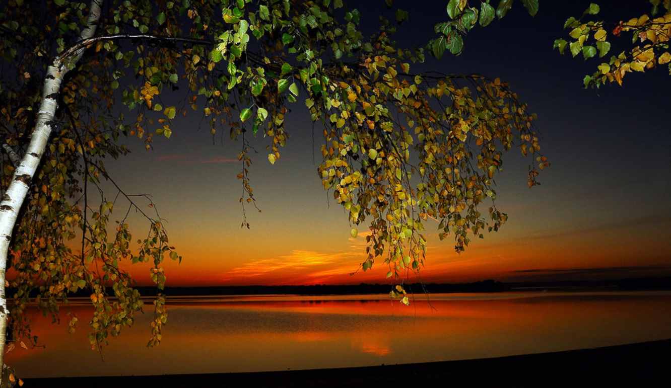 Тихо ласков теплый вечер. Осенний закат с берёзой. Добрый вечер картинки природа. Приятного летнего вечера. Летнего вечера с пожеланиями.
