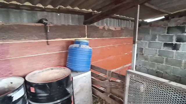 обзор сарая для с/х животных смотреть онлайн