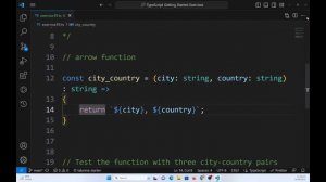 TypeScript basics exercise 39 - Cities: How to call a function in console.log()?