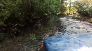 НИВА. ПОСЛЕ ДОЖДЯ. ОСТРОВ САРПИНСКИЙ. 15.09.2023.NIVA.SARPINSKY🏝 ISLAND.