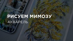 Как нарисовать МИМОЗУ: букет цветов, рисунок, акварель, поэтапно