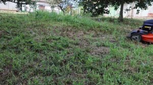 HUSQVARNA LC 353 AWD (first mowing)