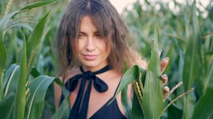 Видеозарисовка "В полях кукурузы"