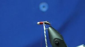 Мушка "Ацетатный муравей"