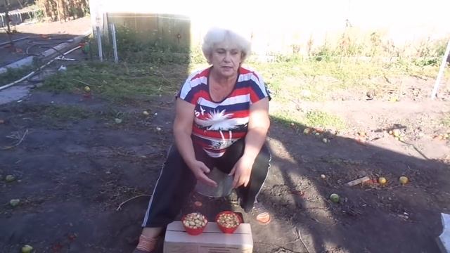 Какой сорт лука мы высаживаем под зиму? смотреть онлайн