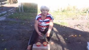 Какой сорт лука мы высаживаем под зиму?