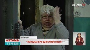 Павлодарские зоозащитники спасли 17 узников "концлагеря для животных"