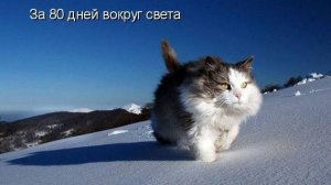 Котофильм "За 80 дней вокруг света"