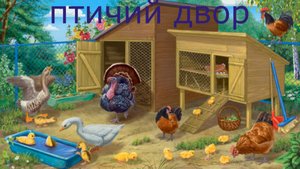Птичий двор