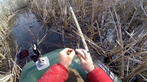 Рыбалка в ОКНАХ КАМЫША | КРУПНЫЙ КРАСНОПЕР