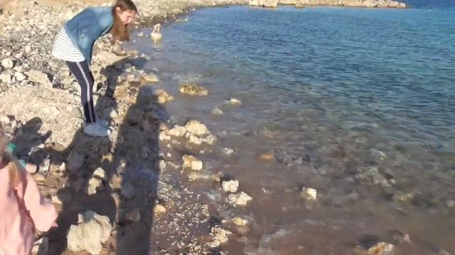 Прогулка по берегу Собираем камушки и ракушки на берегу Красного моря смотреть онлайн
