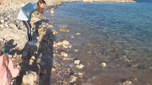 Прогулка по берегу Собираем камушки и ракушки на берегу Красного моря