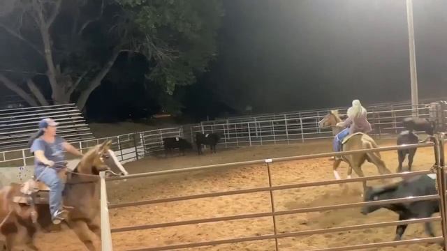 Gunlock Sorting смотреть онлайн