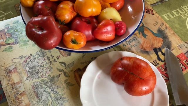 Мой садовый бизнес на даче . Что я продаю ? Как можно заказать у меня цветы и семена ?