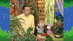 Вечер в Шишкином Лесу. Быт. Ананас