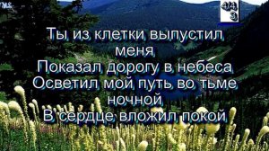 Ты из клетки выпустил меня. (Христианские песни с текстом. Старый сборник).