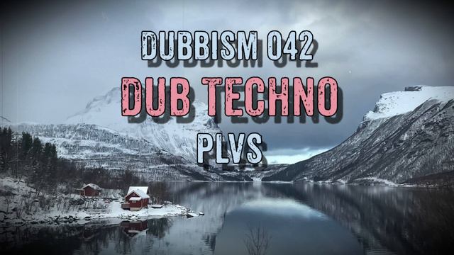 Dub Techno Mix 2022 | DUBBISM 042 - PLVS