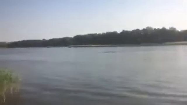 Тест драйв Риб Альбатрос 2045 с 50л.с. смотреть онлайн