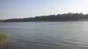 Тест драйв Риб Альбатрос 2045 с 50л.с.