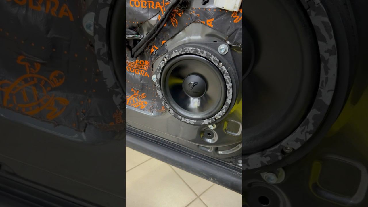 Бюджетный мидбас отрабатывает на 200 % . DL Audio Anaconda 165 #youtubeshorts #music смотреть онлайн