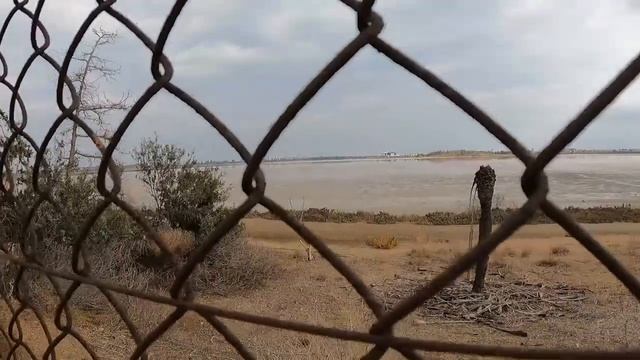 Family trip to Mosque of Umm Haram, or, Hala Sultan Tekke, in Larnaca Cyprus. Lots of cats! смотреть онлайн