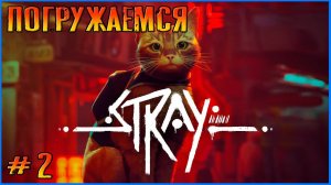 Продолжение приключения. Stray  #2