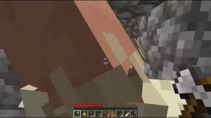 Мемы WAIT WHAT (Подожди что) в Minecraft Часть 1