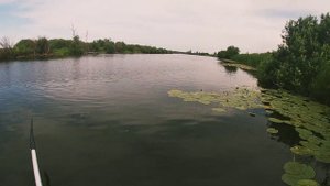 Рыбалка на КРУЖКИ(летние жерлицы)кружки на щуку