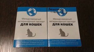 ВАКЦИНАЦИЯ КОШЕК - КАКИЕ ПРИВИВКИ, КАК ЧАСТО ДЕЛАТЬ, ОТМЕТКА В ВЕТЕРИНАРНЫЙ ПАСПОРТ