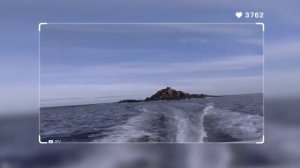 Самые Жуткие Существа За Всю Историю Океана