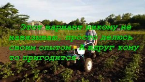 Окучивание картофеля мотоблоком Нева, с выносом левого колеса на соседнюю борозду