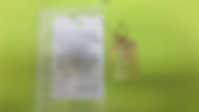 Ломбарды Новосибирска. Распродажа ювелирных изделий. Декабрь 2015. Выпуск 1 (02.12.2015) смотреть онлайн