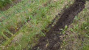 Вытаскиваем УАЗ и ниву в Твери у ПЕТРОВИЧА.ТАКОГО у НАС ЕЩЕ не БЫЛО!