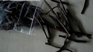 Сабельник болотный - altaimatri.ru