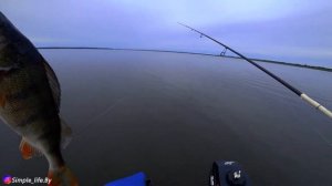 Ловля крупного окуня осенью /Отводной поводок.