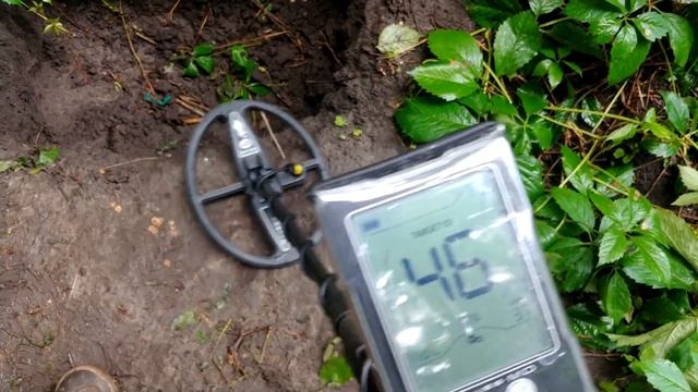 Gauss MD - Тест на спинку Фібули смотреть онлайн