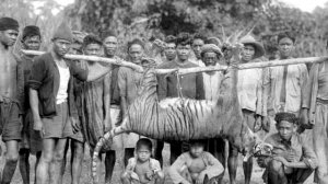 10 удивительных животных, вымерших по вине человека