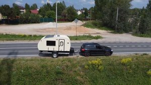 Кемперус Лось в _естественной среде обитания_