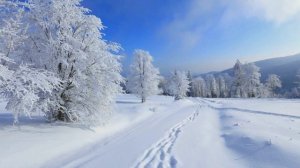 СНЕГ КРУЖИТСЯ МУЗ.С. БЕРЕЗИНА,СТ.Л.КОЗЛОВОЙ-кавер-Г.Погорельская -дек.2018.mp4