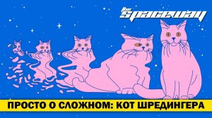 ПРОСТО О СЛОЖНОМ: КОТ ШРЕДИНГЕРА