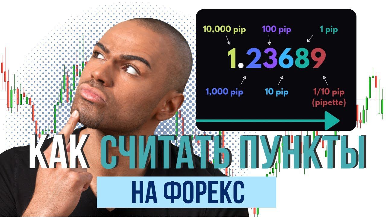 Вы точно знаете, как считать пункты на Форекс?