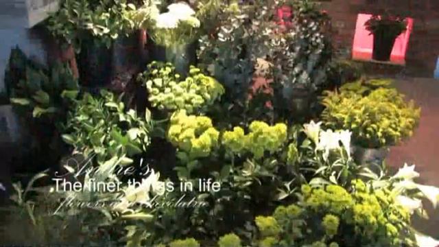 Flowers - South Africa Travel Channel 24 смотреть онлайн