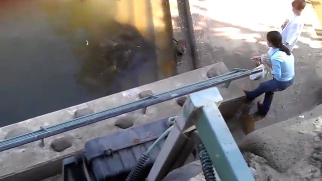 Природа в Иордане смотреть онлайн