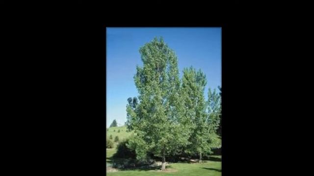 ,,Моё солнце в зените""Собанцева Валентина смотреть онлайн