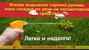 Виды гербицидов избирательного действия