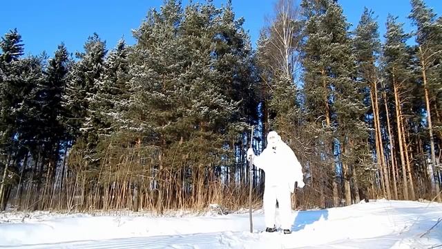 [РВ] Как измерить высоту объекта одной лишь палкой? (вопрос №7)