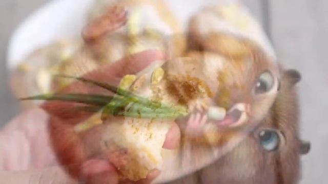 Реклама чая смотреть онлайн