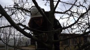 Обрезка плодовых деревьев весной. Весенняя обрезка яблони. Обрезка сада. www.Tree-Work.ru